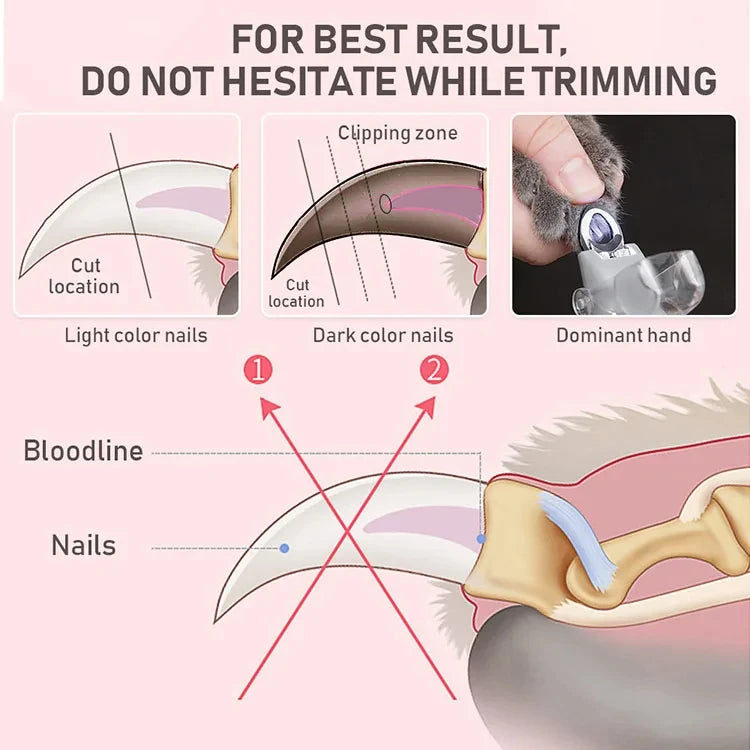 Nail Clipper with LED
