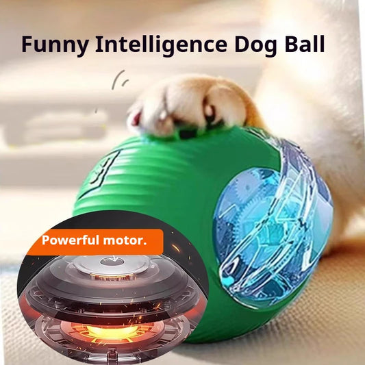 Automatic Self-Rolling Ball