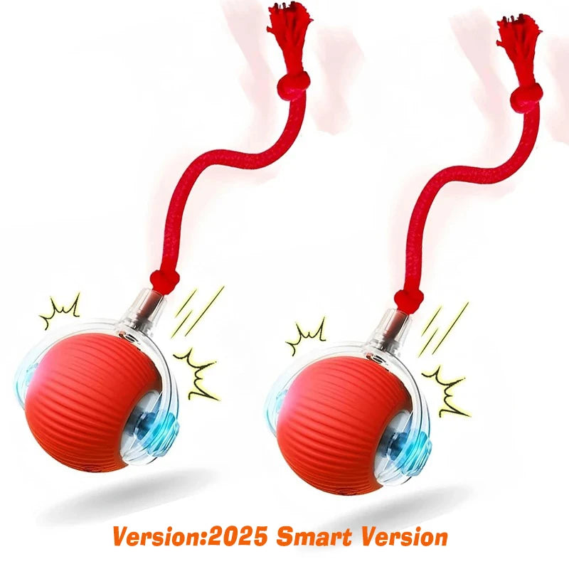 Automatic Self-Rolling Ball