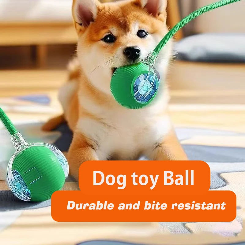 Automatic Self-Rolling Ball
