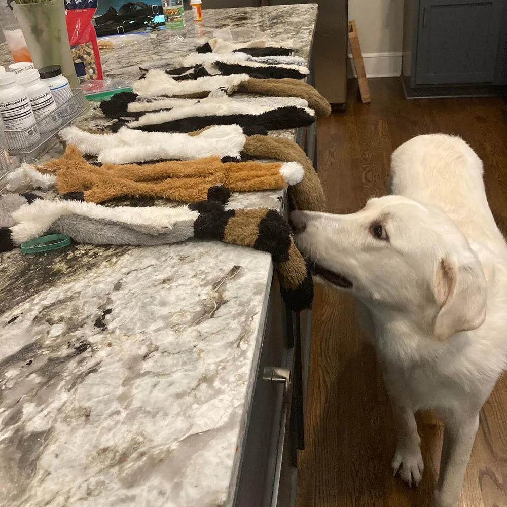 Crinkly Squeaky Animal Toys