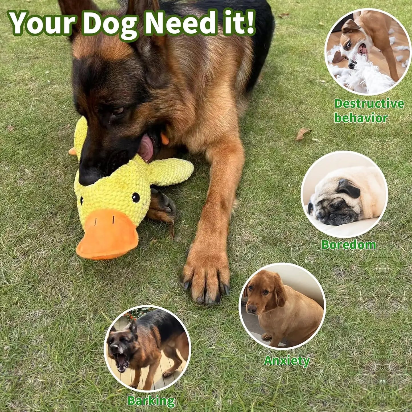Quacking Duck Chew toy