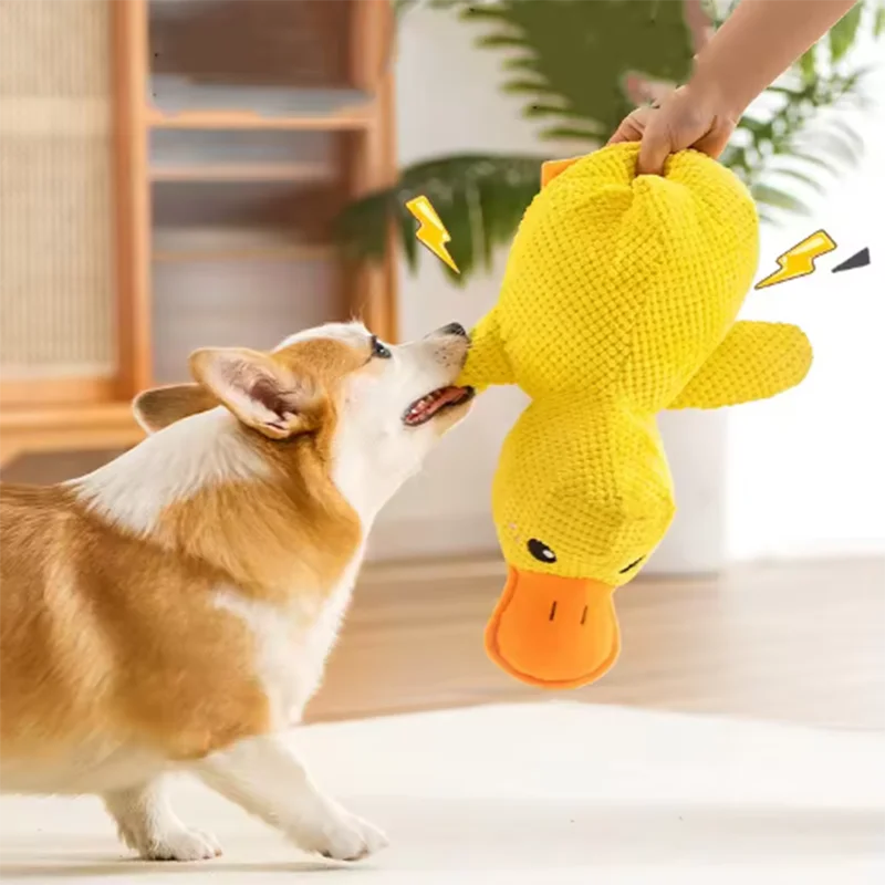 Quacking Duck Chew toy