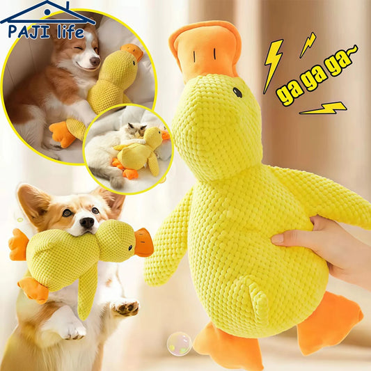 Quacking Duck Chew toy