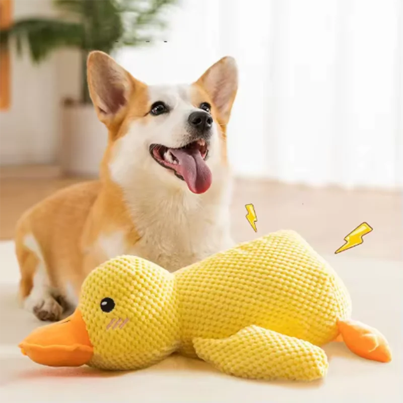 Quacking Duck Chew toy
