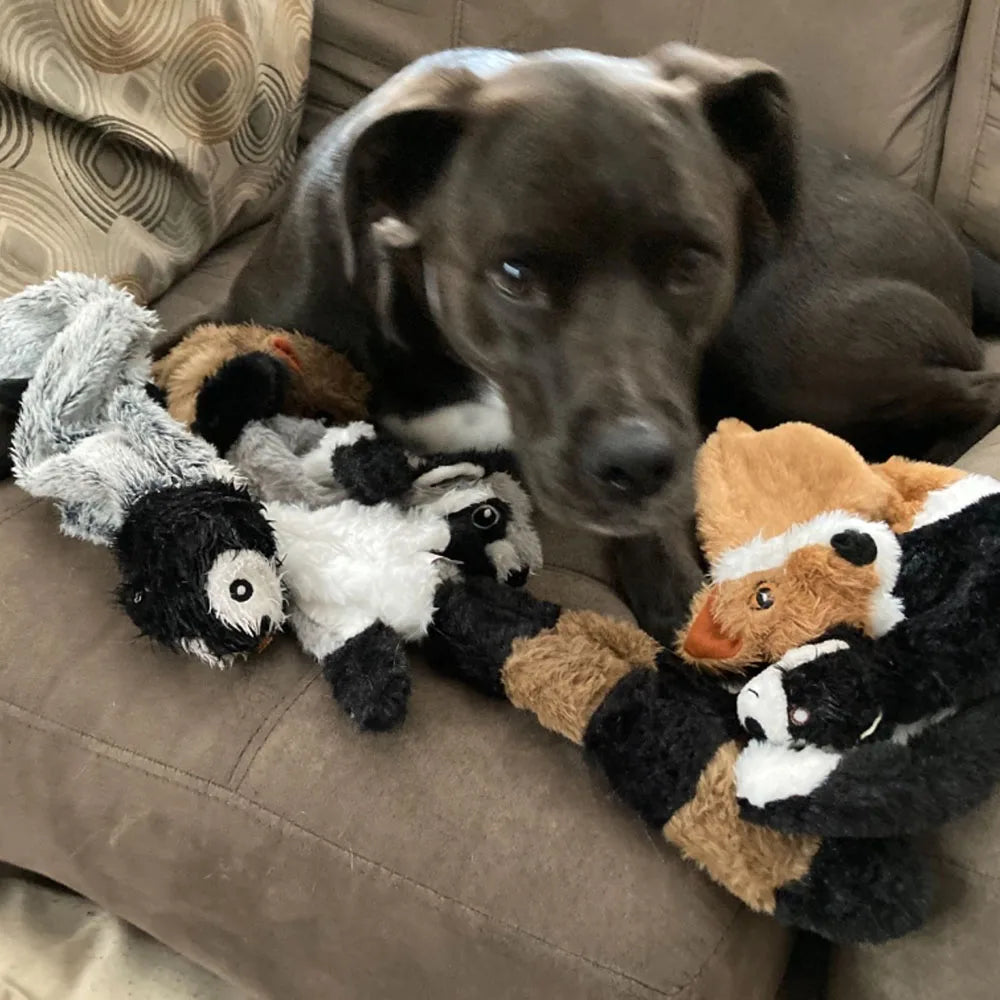 Crinkly Squeaky Animal Toys