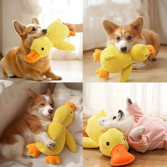 Quacking Duck Chew toy