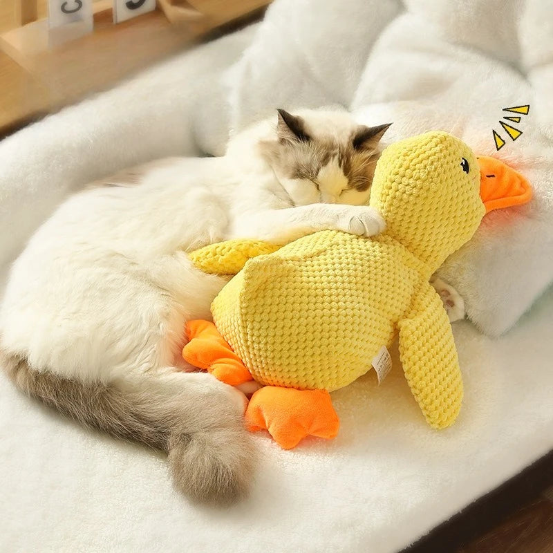 Quacking Duck Chew toy