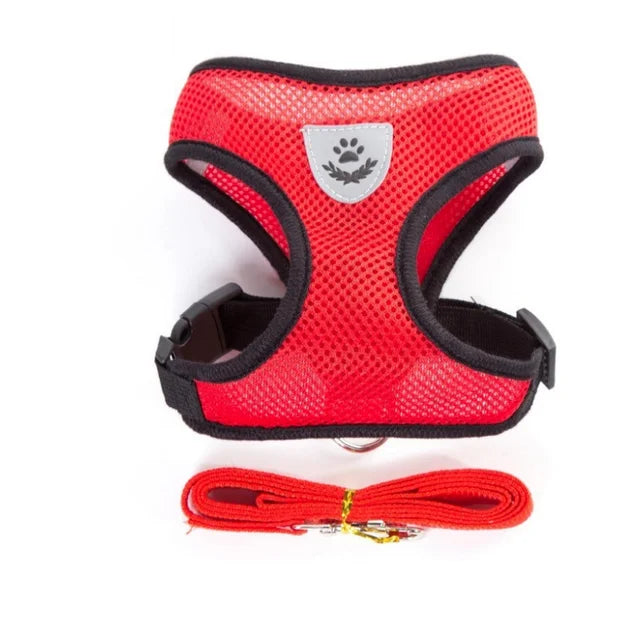Adjustable Puppy Harness