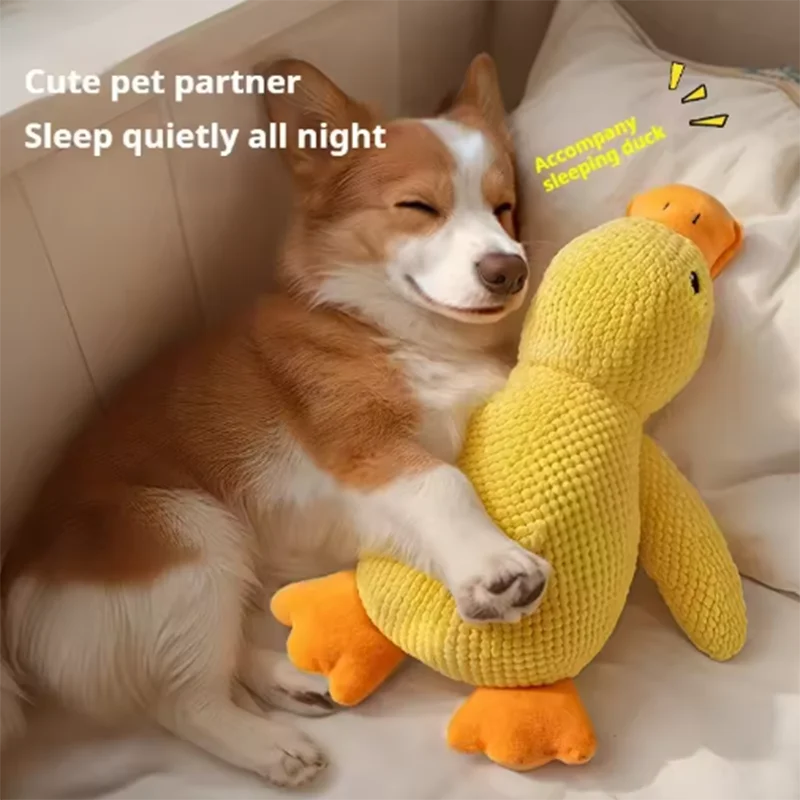 Quacking Duck Chew toy