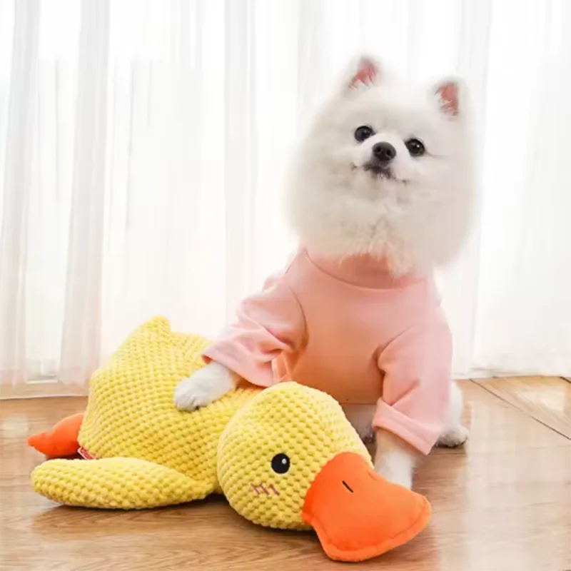 Quacking Duck Chew toy