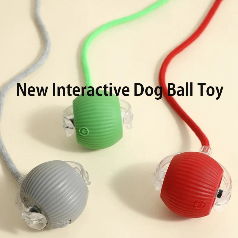 Automatic Self-Rolling Ball