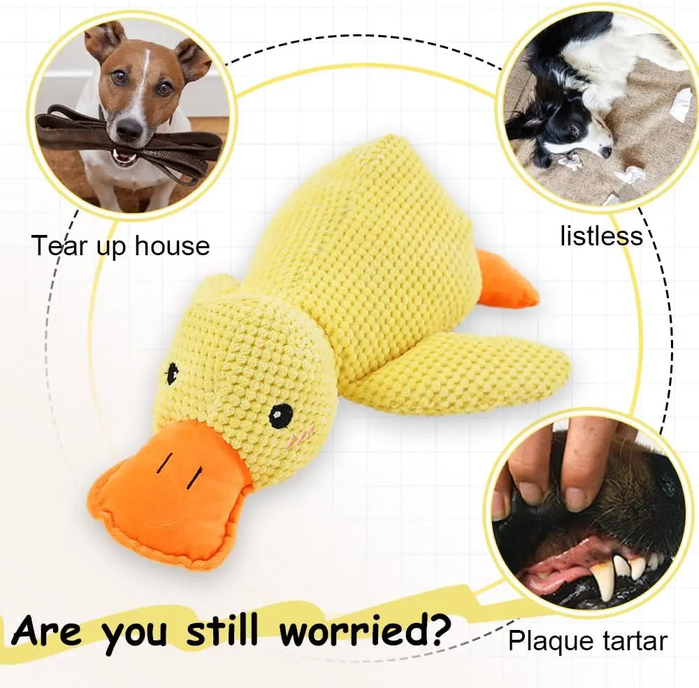 Quacking Duck Chew toy