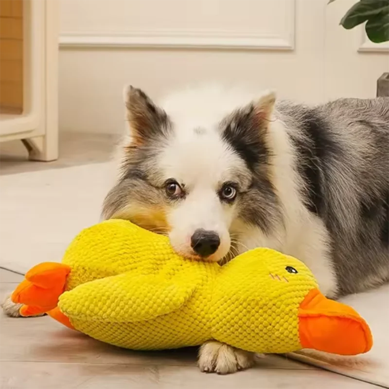 Quacking Duck Chew toy