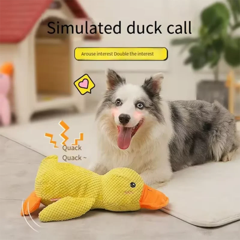 Quacking Duck Chew toy
