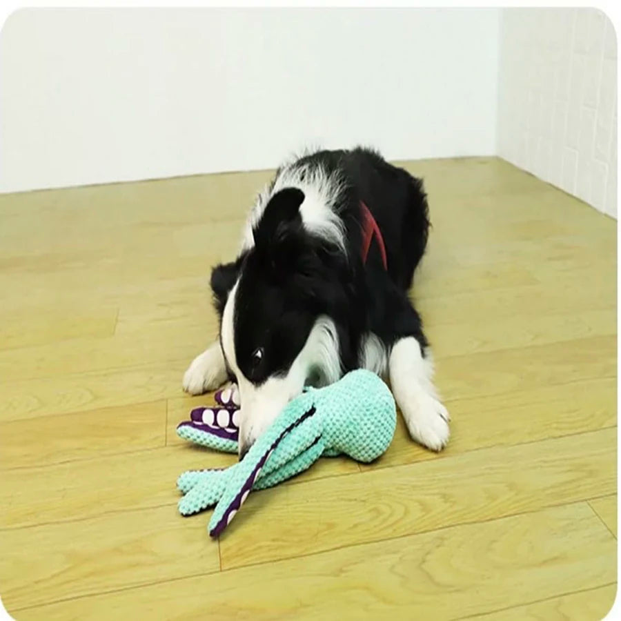 Squeaky Opctopus Toy