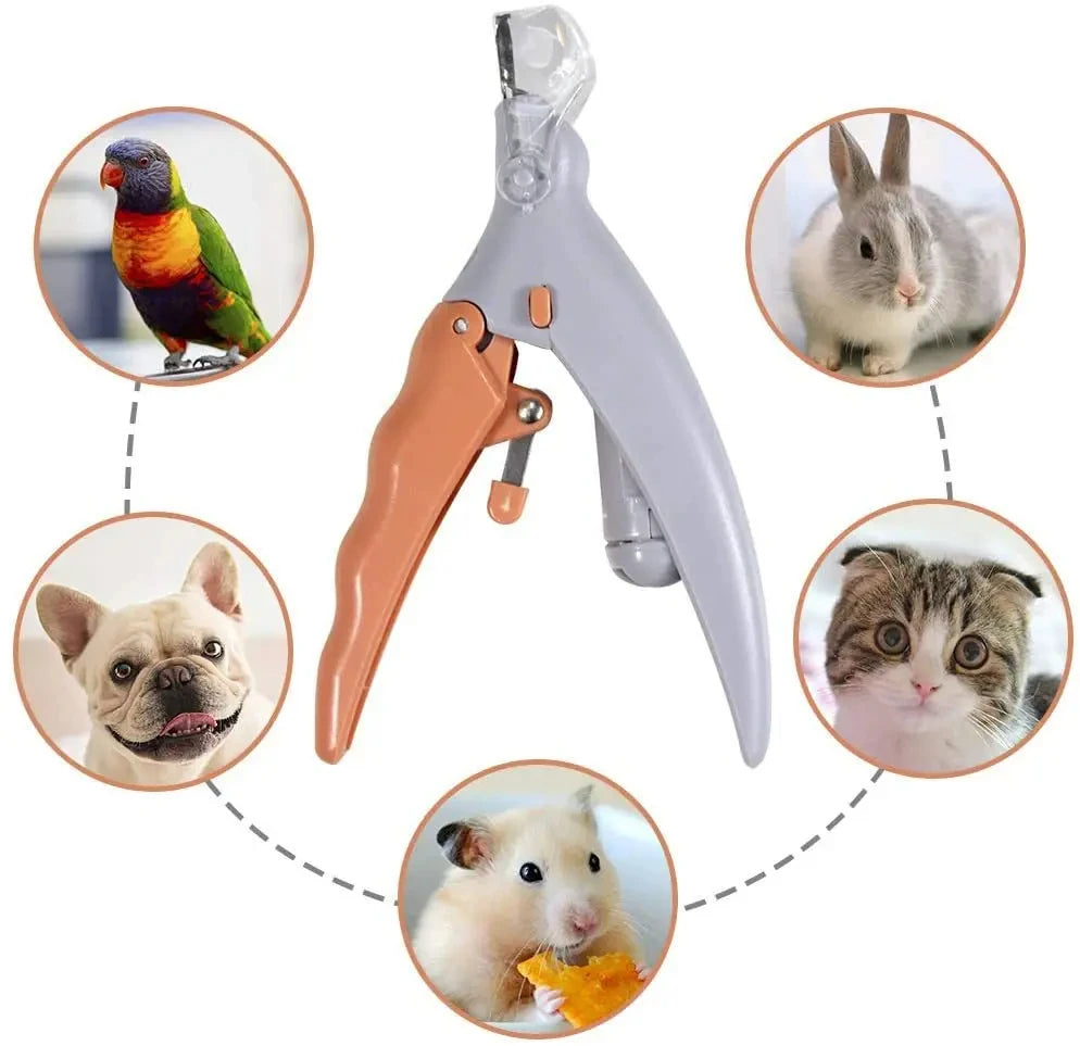 Nail Clipper with LED