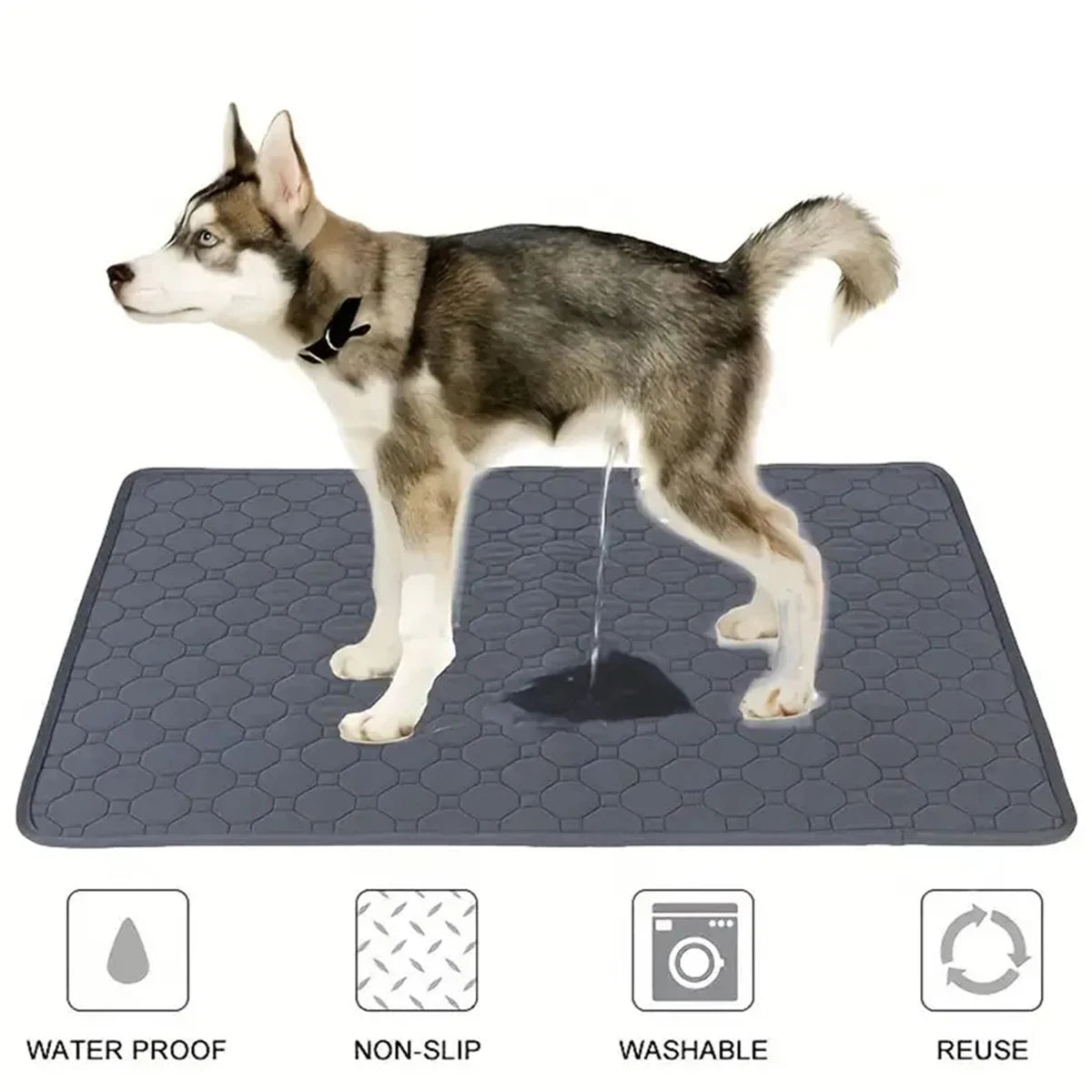 Reusable Training Pee Pad