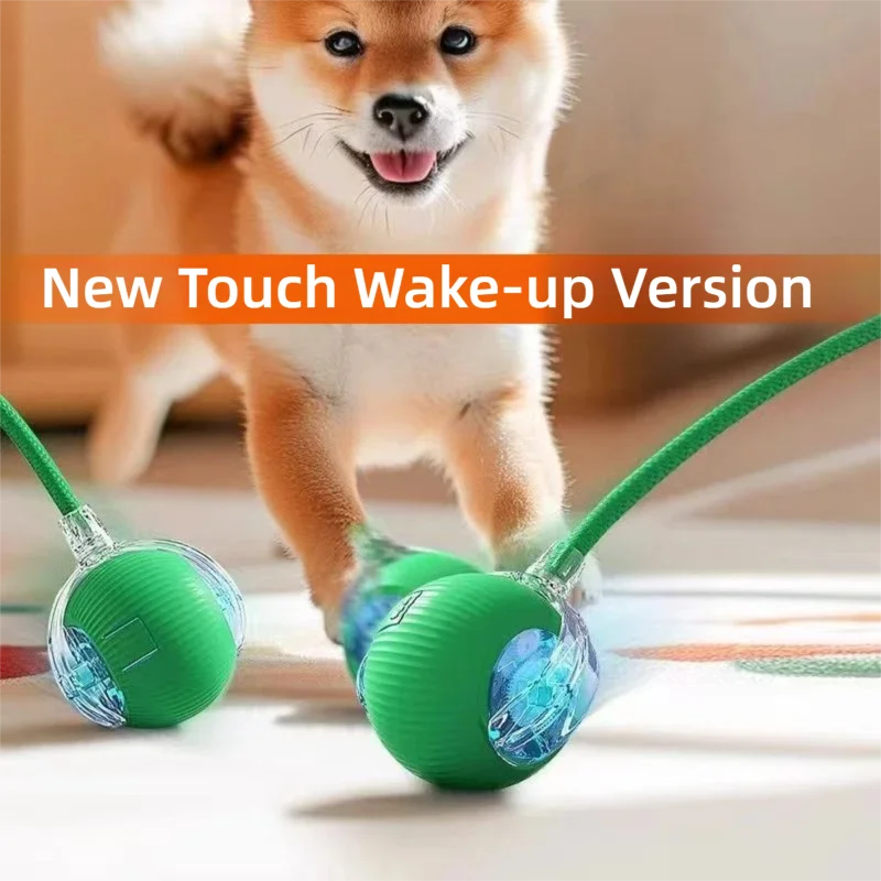 Automatic Self-Rolling Ball