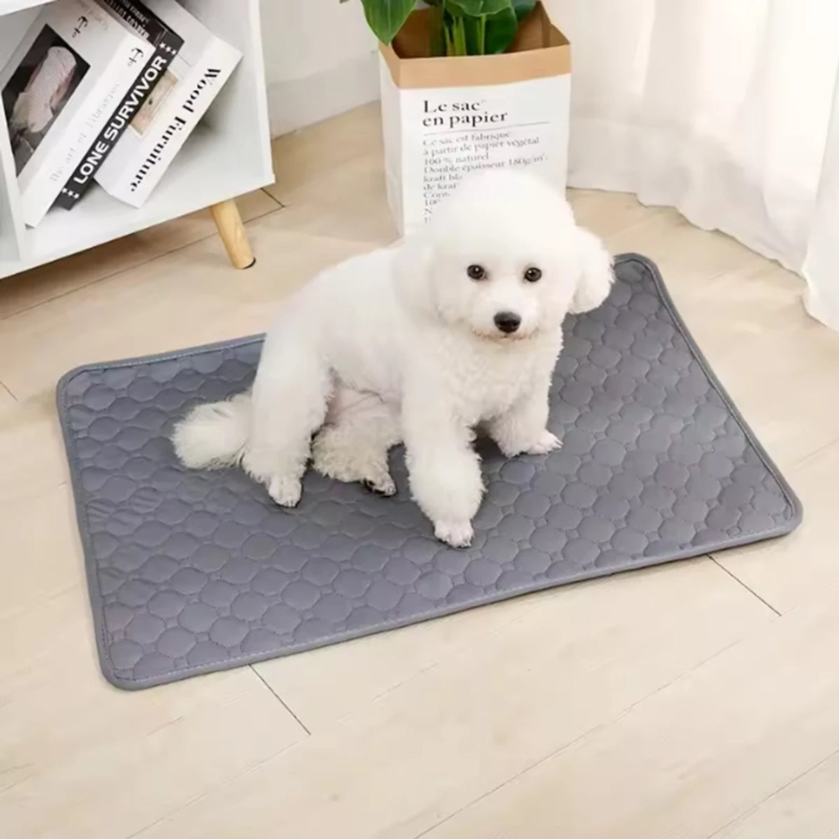 Reusable Training Pee Pad