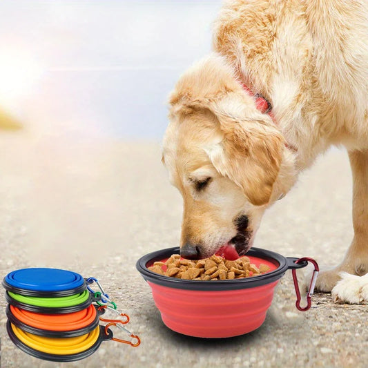 Collapsible Travel Bowl