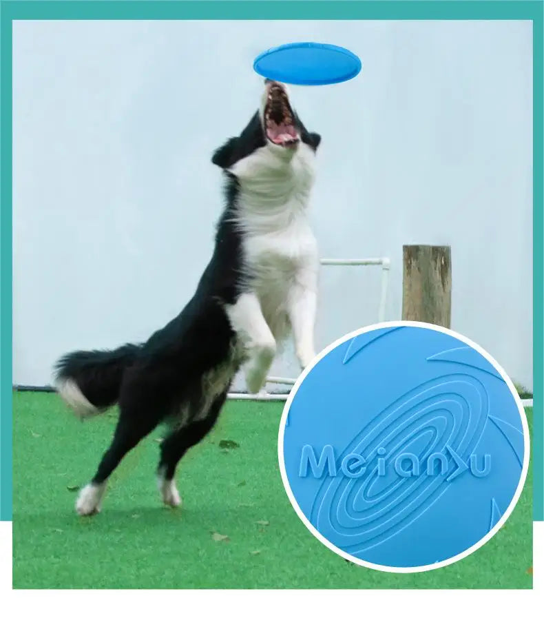 Bite Resistant Flying Disc